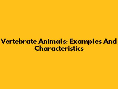 Vertebrate Animals: Examples And Characteristics